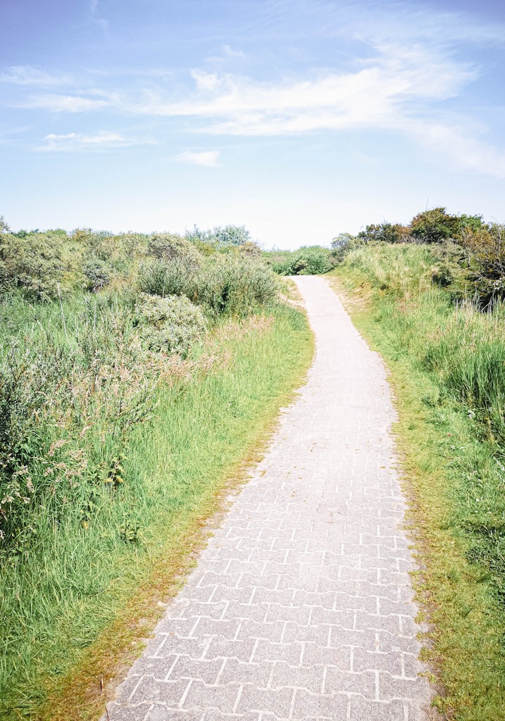 Radweg auf Borkum