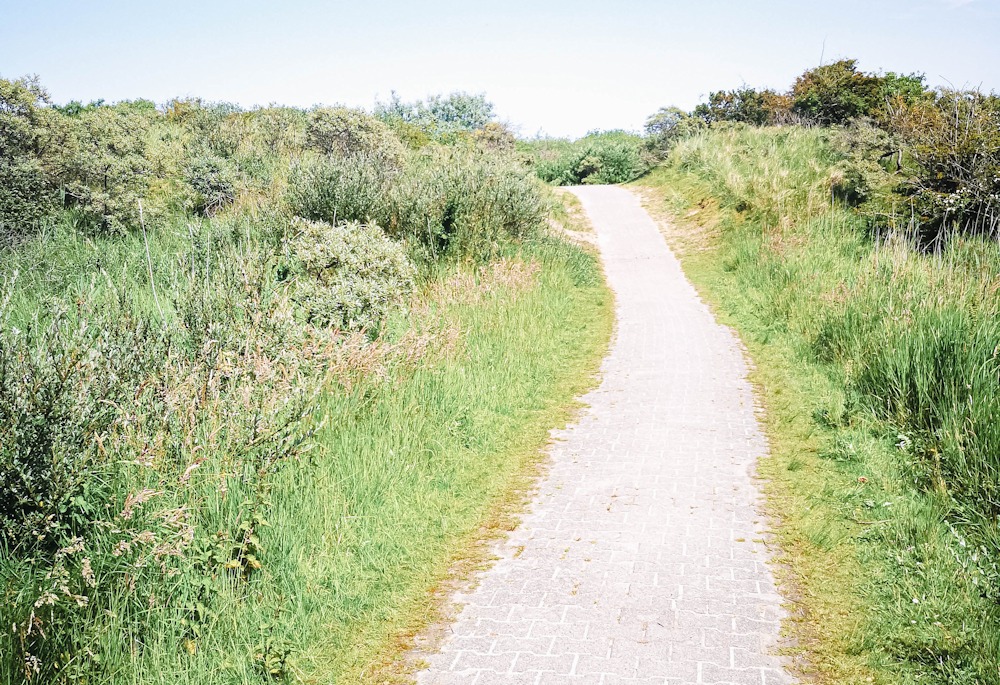 Fahrradweg auf Borkum