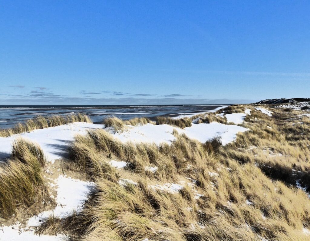 Winterangebote Borkum arthotel bakker