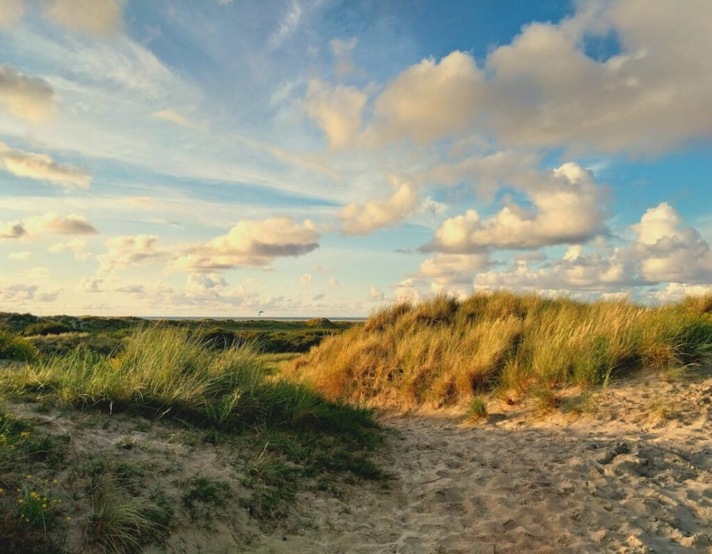 Borkum Angebot Urlaub Frühbucher