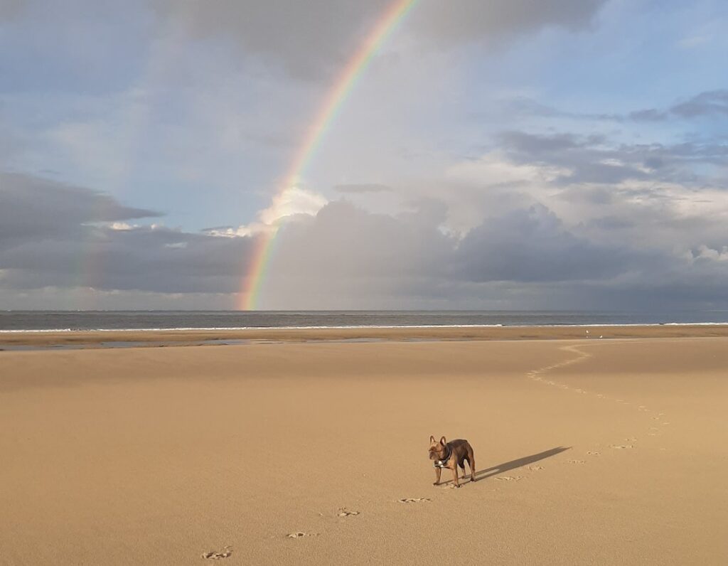 Hundestrand Borkum