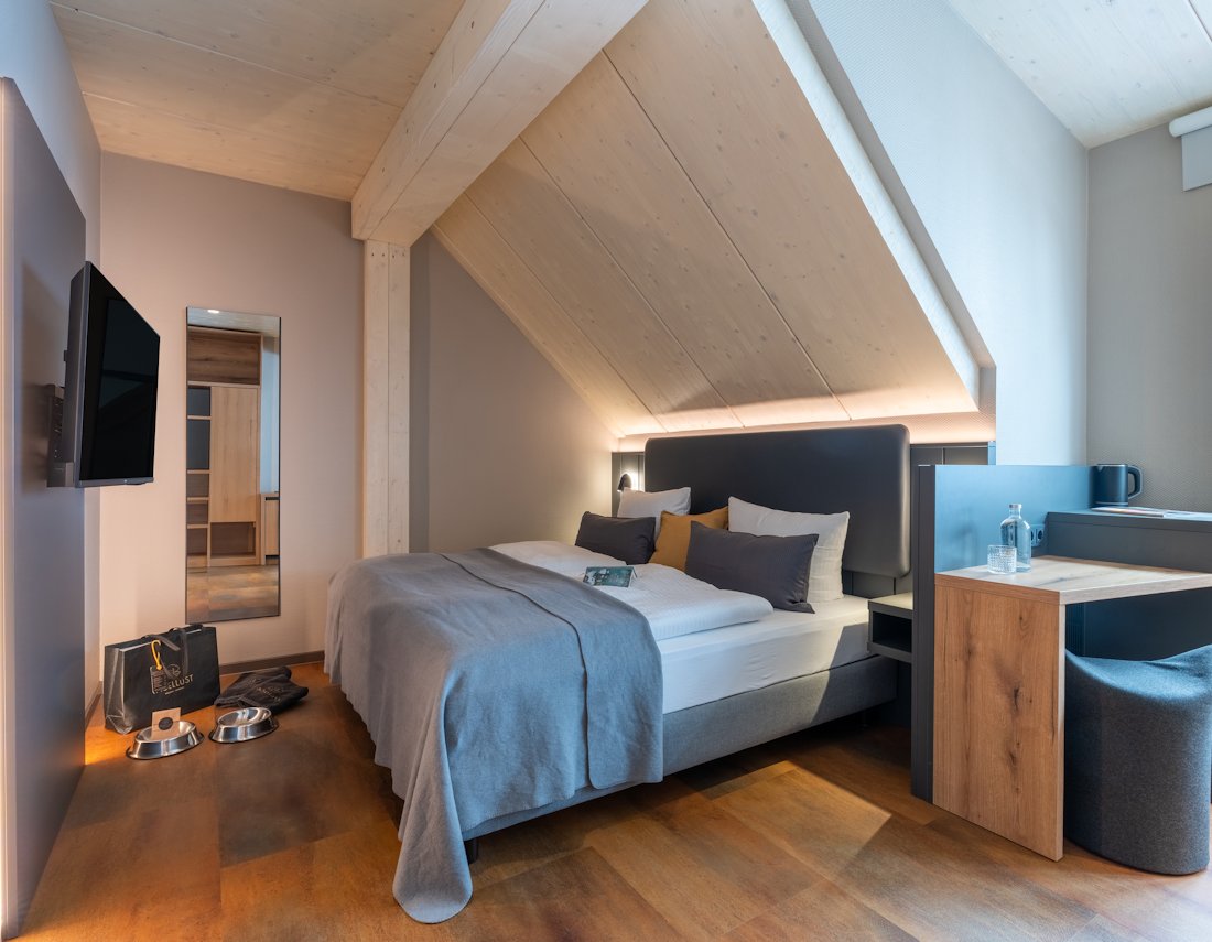 Borkum mit Hund Zimmer