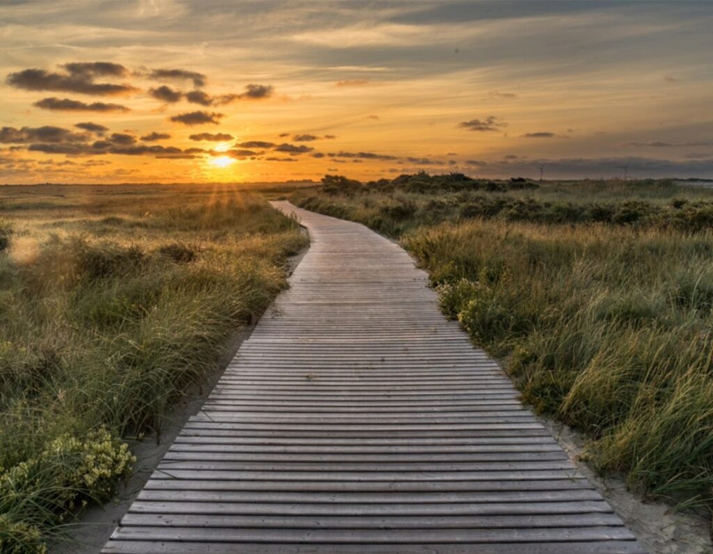 Saison der Sinne Borkum Sonnenuntergang